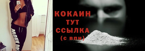 мяу мяу мука Бородино