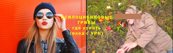 мяу мяу мука Бородино