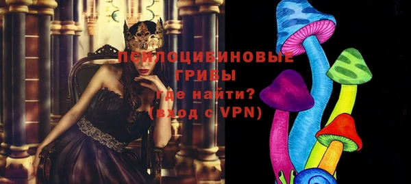 мяу мяу мука Бородино